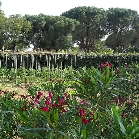D'hotes Alize * Grimaud